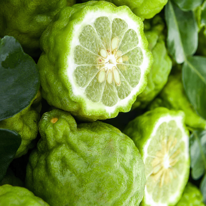 bergamot